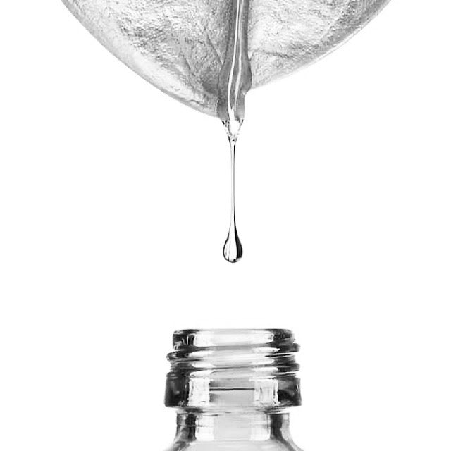 Our Nourishing Ingredients